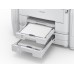 Epson WorkForce Pro WF-R5690DTWF (RIPS)